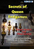 Secrets of Queen Endgames