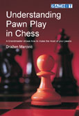 Understanding Pawn Play in Chess